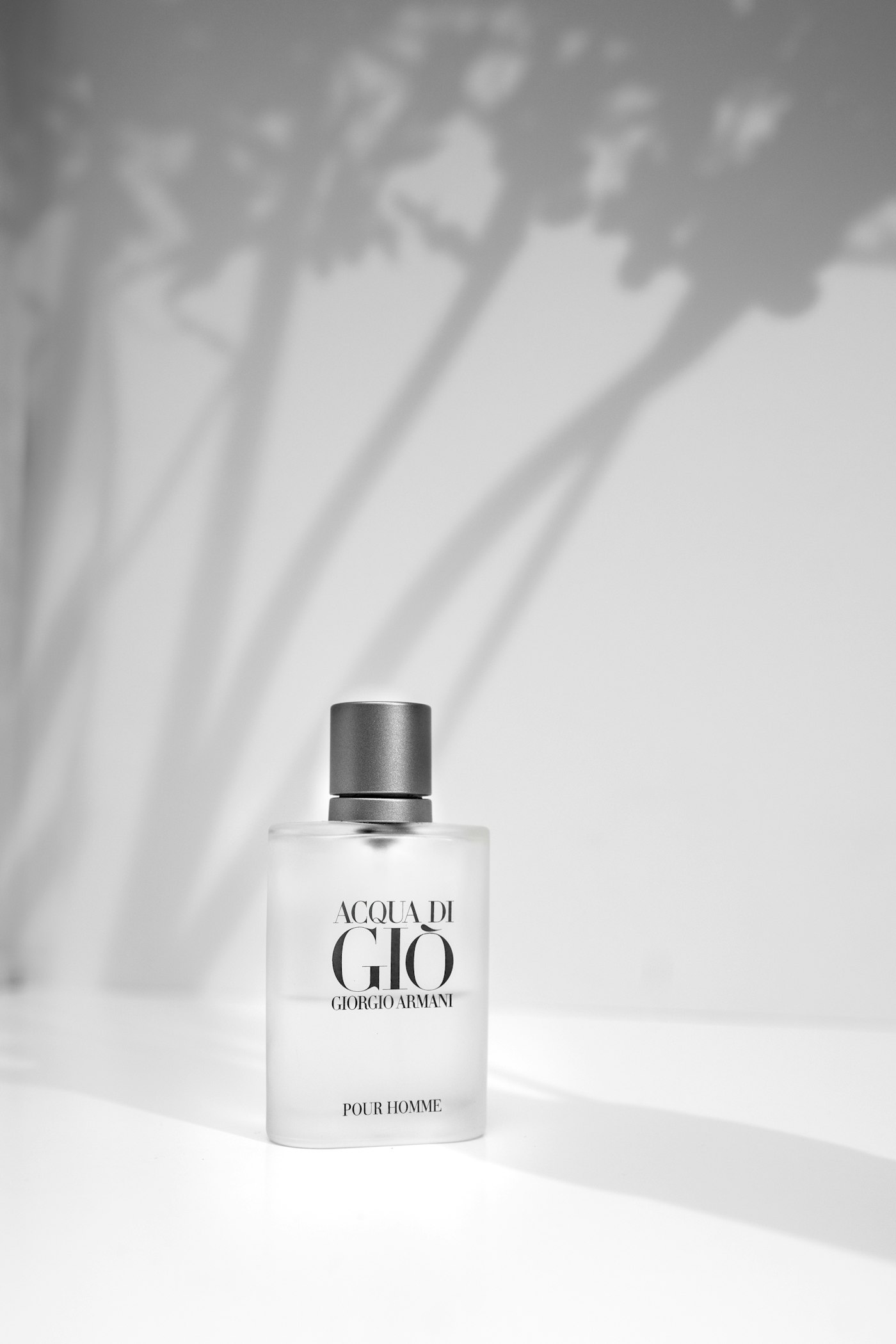 Jasmin de Nuit